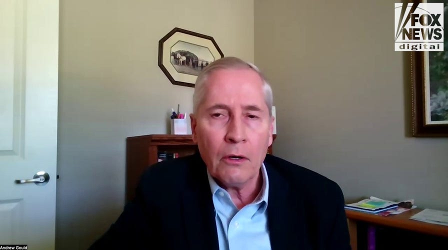 ‘Numbers don’t lie’: Former judge says Houston migrant sex crime wave tied to border failures