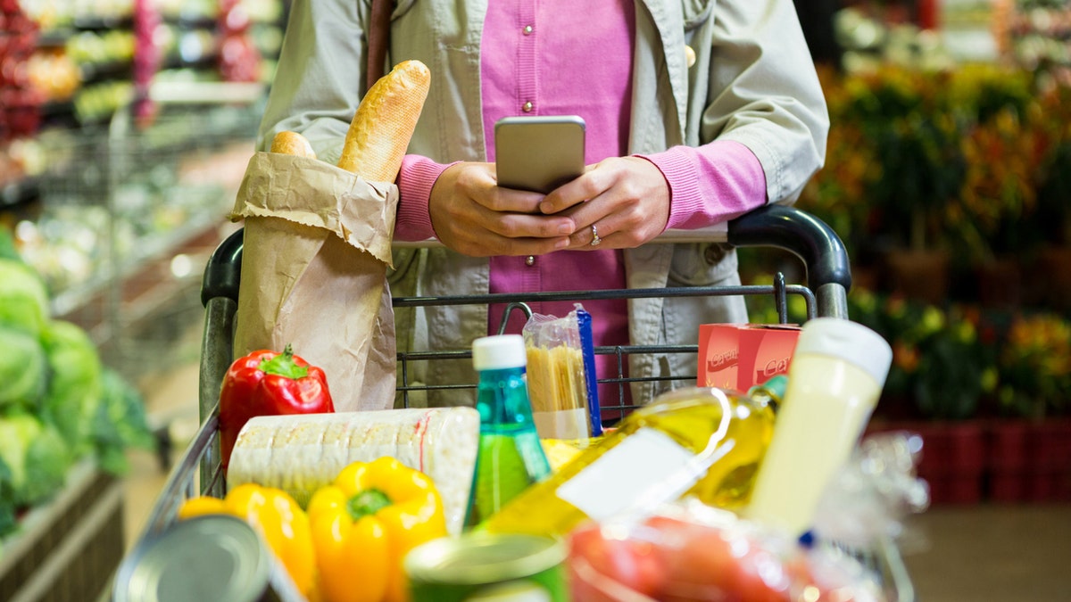 groceries in basket, woman