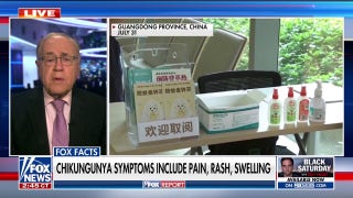 Could the mosquito-borne virus in China spread to the US?