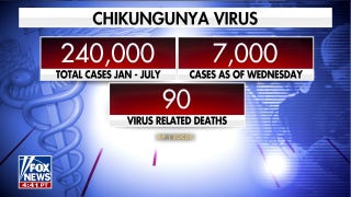 U.S. issues travel warning for chikungunya virus