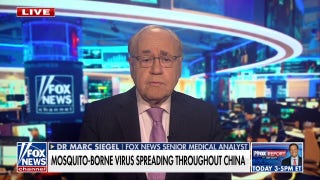 Dr. Marc Siegel explains why chikungunya virus will not lead to global pandemic