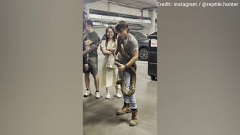 Reptile hunter removes 16-foot python from LA apartment building dumpster