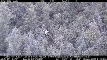 YouTube survival show contestant rescued in densely wooded forest after going missing