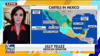 Mexican senator warns cartels have ‘infested’ her nation
