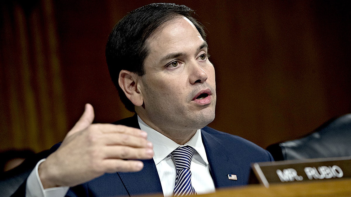 Sen. Marco Rubio questions witnesses during a Senate Intelligence Committee hearing on Russian election interference, March 30, 2017, in Washington
