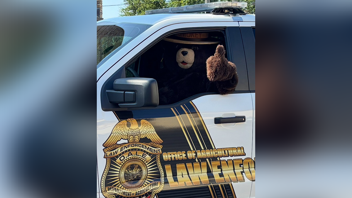 Smokey the Bear giving a thumbs up