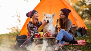 13 must-haves to bring when camping with your dog, from travel crates to outdoor beds
