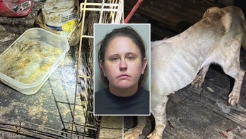 Florida woman leaves teen, 7 dogs home alone to go on Vegas vacation: police
