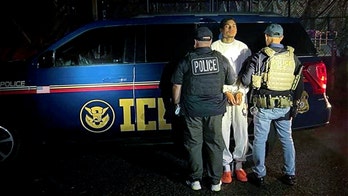 Massive ICE operation in blue city racks up rape and drug trafficking arrests: 'Harbor criminals'