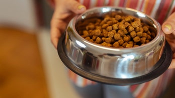 Aunt blames niece after accidentally eating dog food during visit, sparking family drama